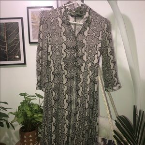 Zara snake skin dress